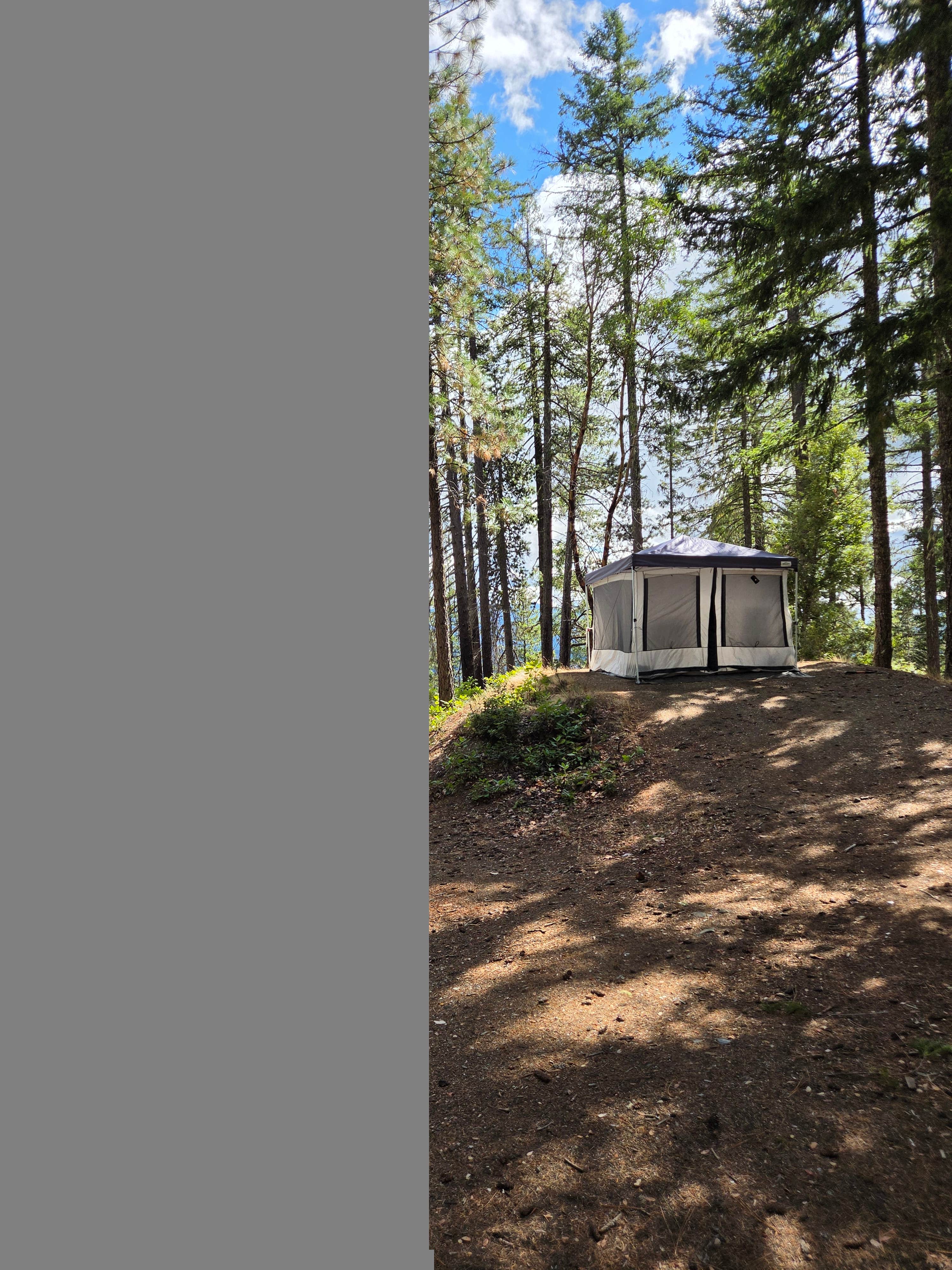 David S.'s photo of a dispersed camping area at Forest Road 25 near Camas Valley, OR