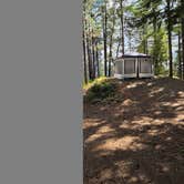 Review photo of Forest Road 25 by David S., September 26, 2026