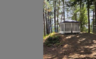 David S.'s photo of a dispersed camping area at Forest Road 25 near Merlin, OR