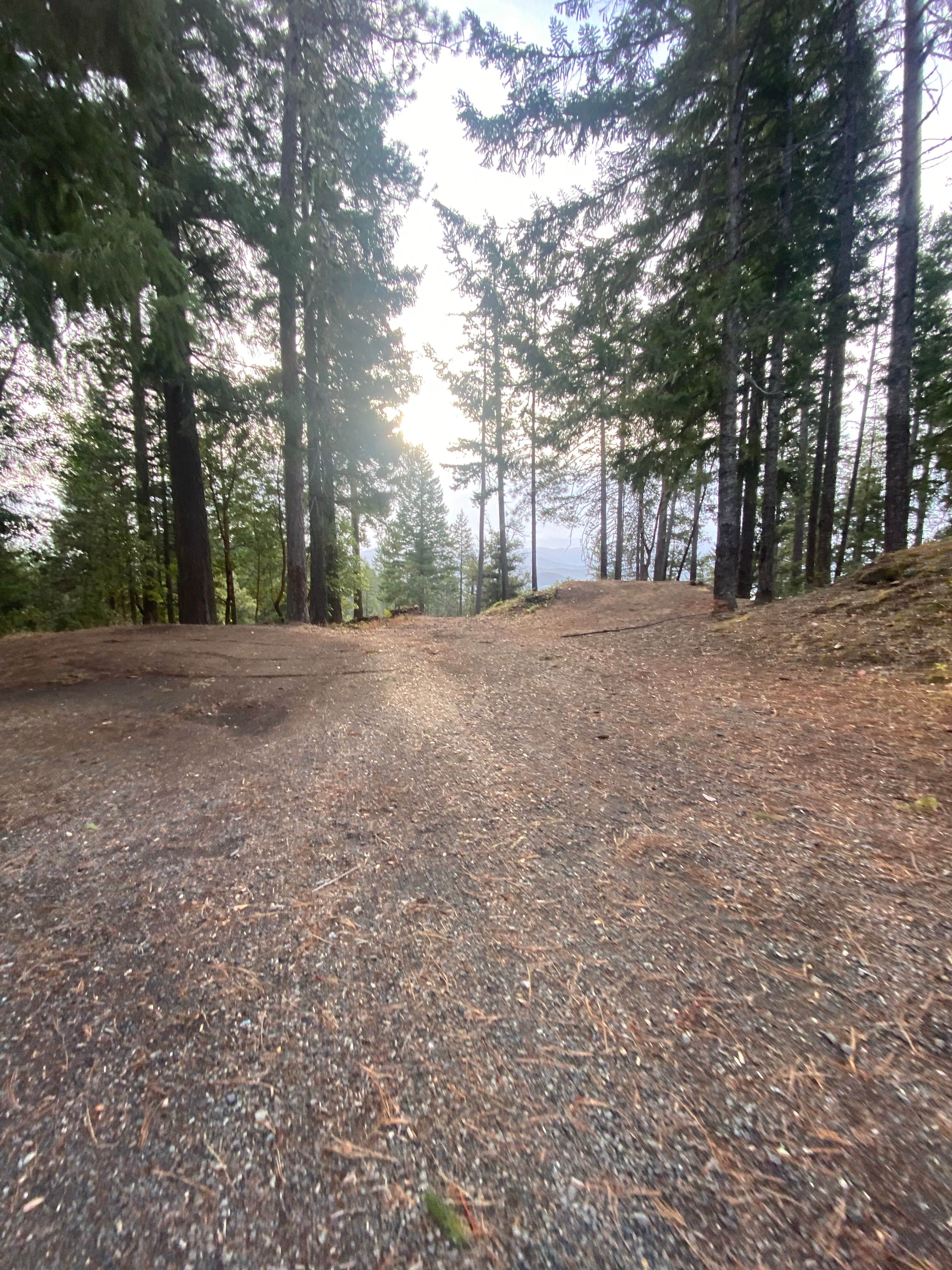 Imerie T.'s photo of a dispersed camping area at Forest Road 25 near Smith River, CA