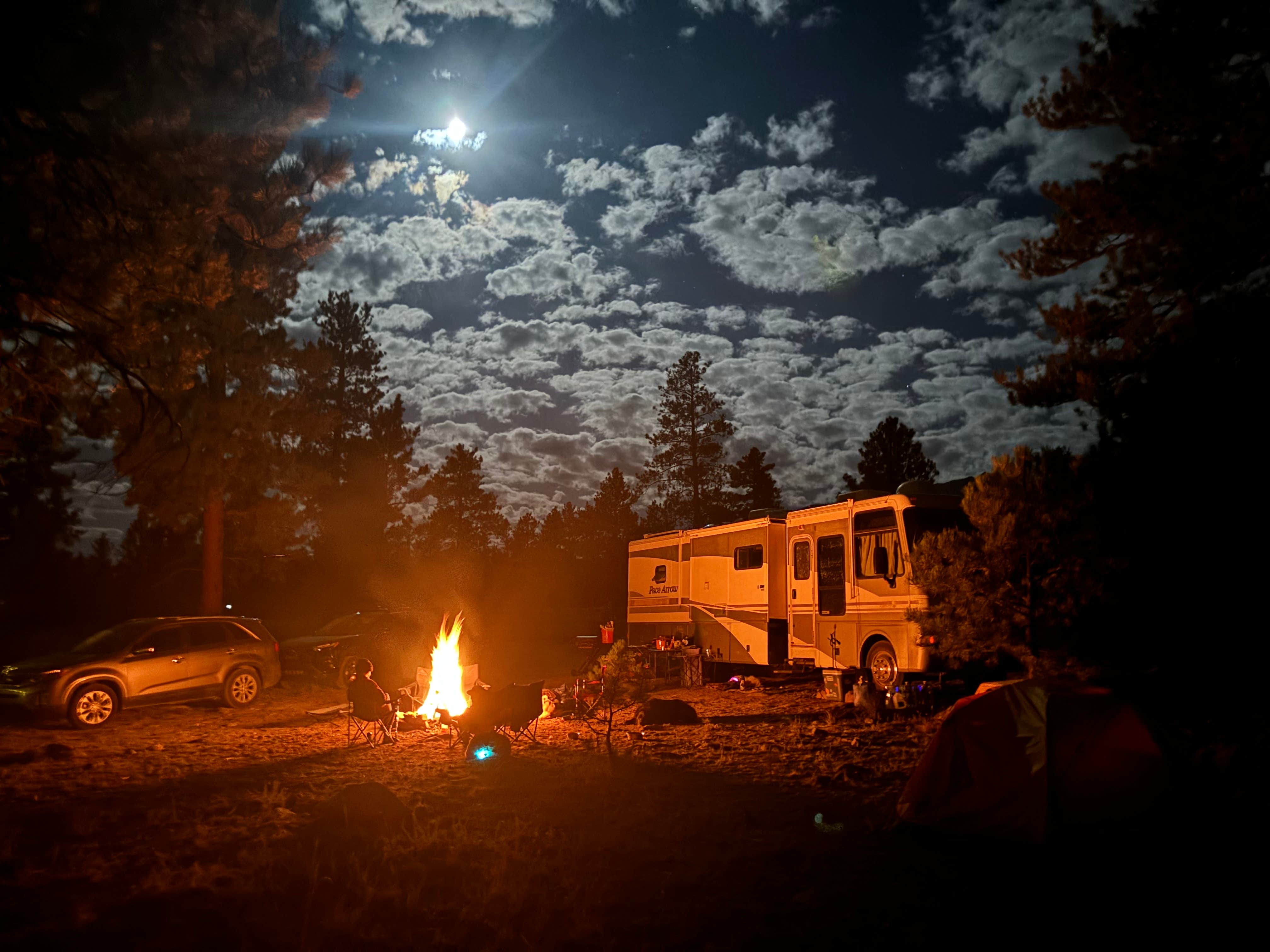 Paulina B.'s photo of a dispersed camping area at Forest Road 272 Dispersed Camping near Buena Vista, CO