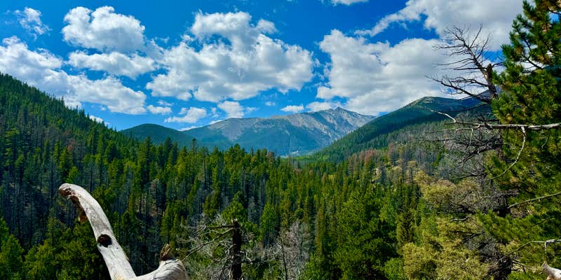 Camper submitted image from Forest Road 272 Dispersed Camping