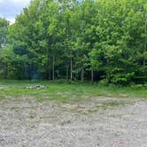 Review photo of NFR 273 Dispersed Camping Spot by Matthew D., May 29, 2024