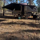 Review photo of Forest Road 302 by Betsy B., May 11, 2026