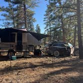 Review photo of Forest Road 302 by Betsy B., May 11, 2026