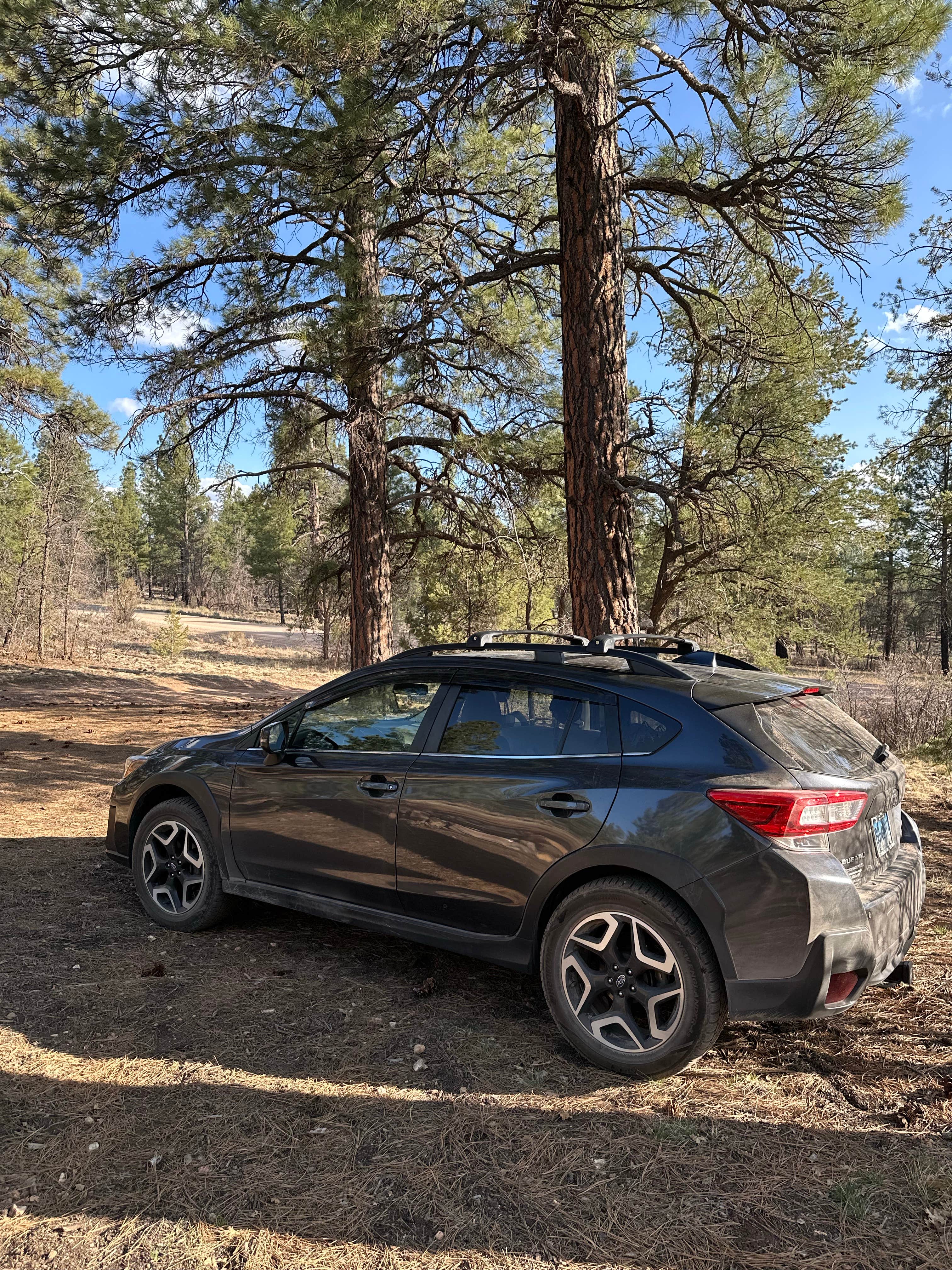 Camping near Horseshoe Mesa Campsites — Grand Canyon National Park: Forest Road 302, Grand Canyon, Arizona