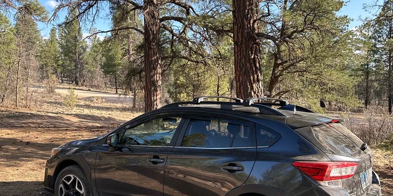 Camper submitted image from Forest Road 302