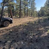 Review photo of Forest Road 302 by Betsy B., May 11, 2026