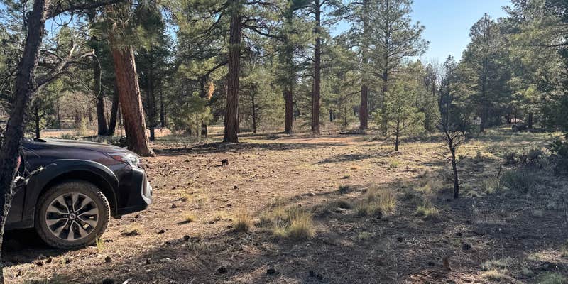 Camper submitted image from Forest Road 302