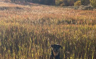 traveller 1.'s photo of camping with pets at Forest Road 30310 Dispersed Campsite near Moose, WY