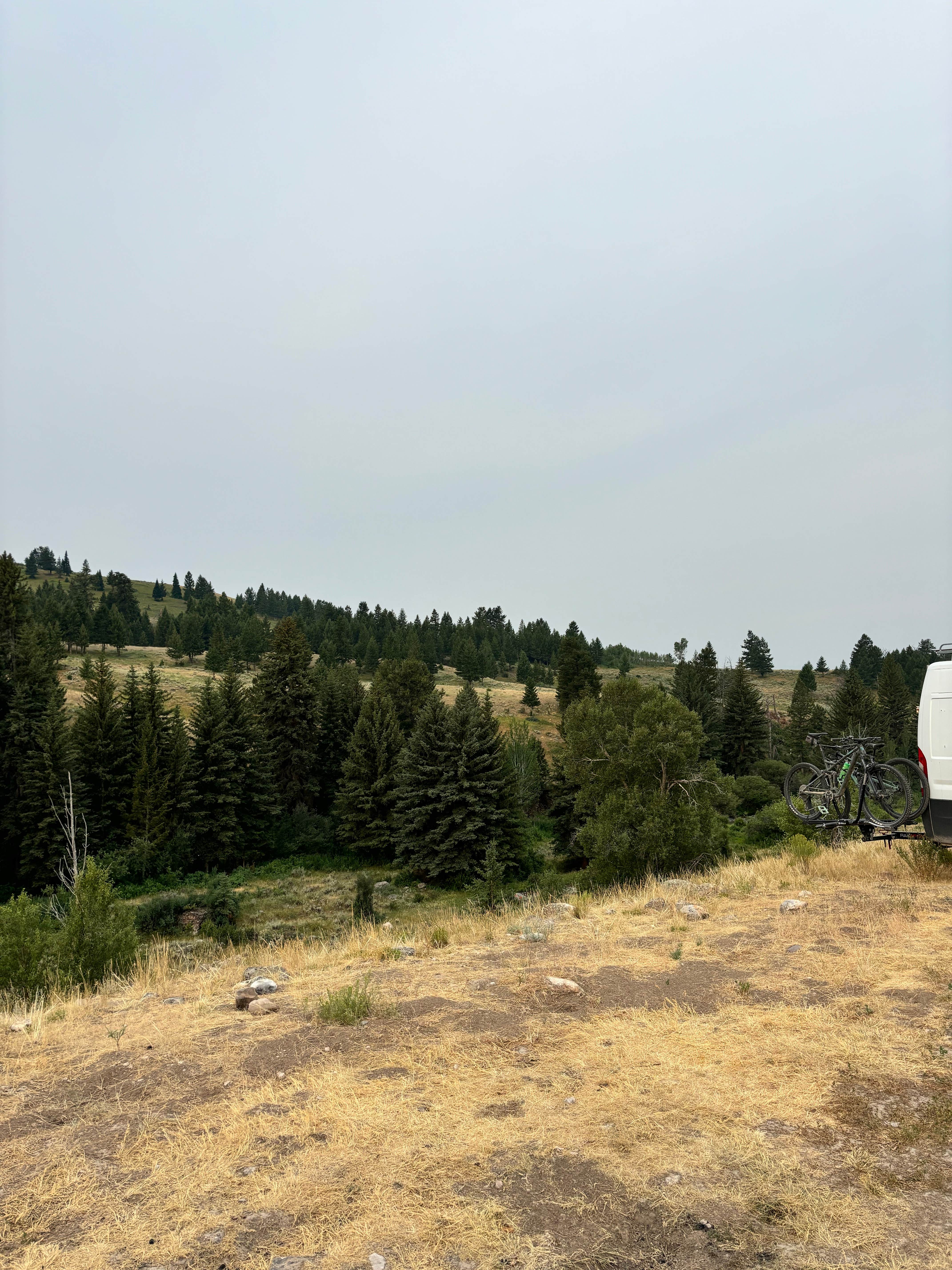 Camper submitted image from Forest Road 30442 - 2