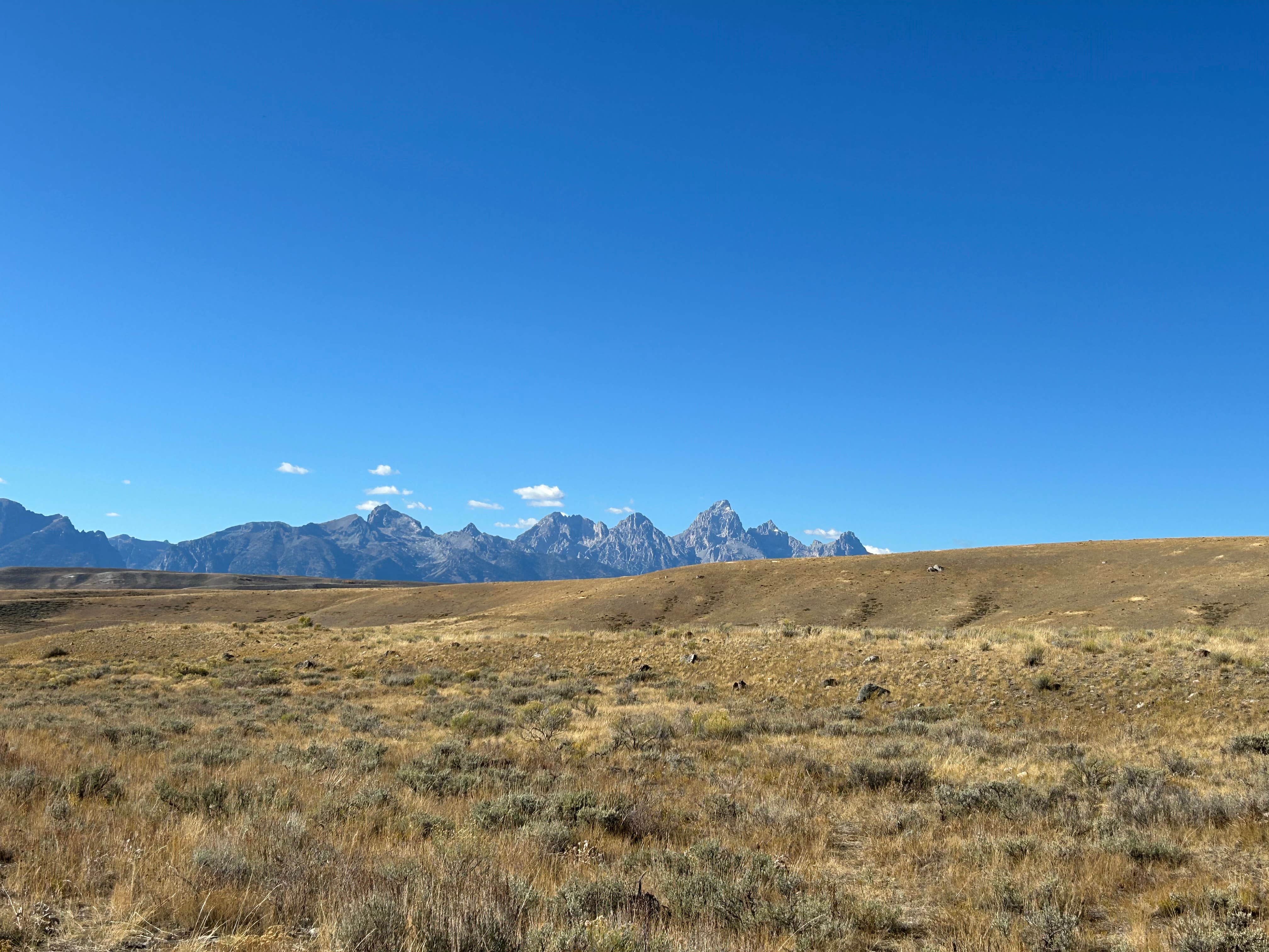 Camper-submitted photo at Forest Road 30442 near Teton Village, WY
