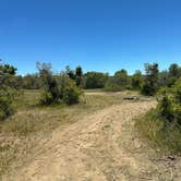 Review photo of Forest Road 316 Roadside Camp by shelby B., June 11, 2026