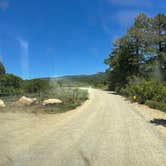 Review photo of Forest Road 316 Roadside Camp by shelby B., June 11, 2026
