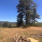 Review photo of Forest Road 316 Roadside Camp by shelby B., June 11, 2026