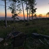 Review photo of Forest Road 316 Roadside Camp by Dan B., June 21, 2025