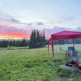 Review photo of Forest Road 318 by Ayla G., July 14, 2025