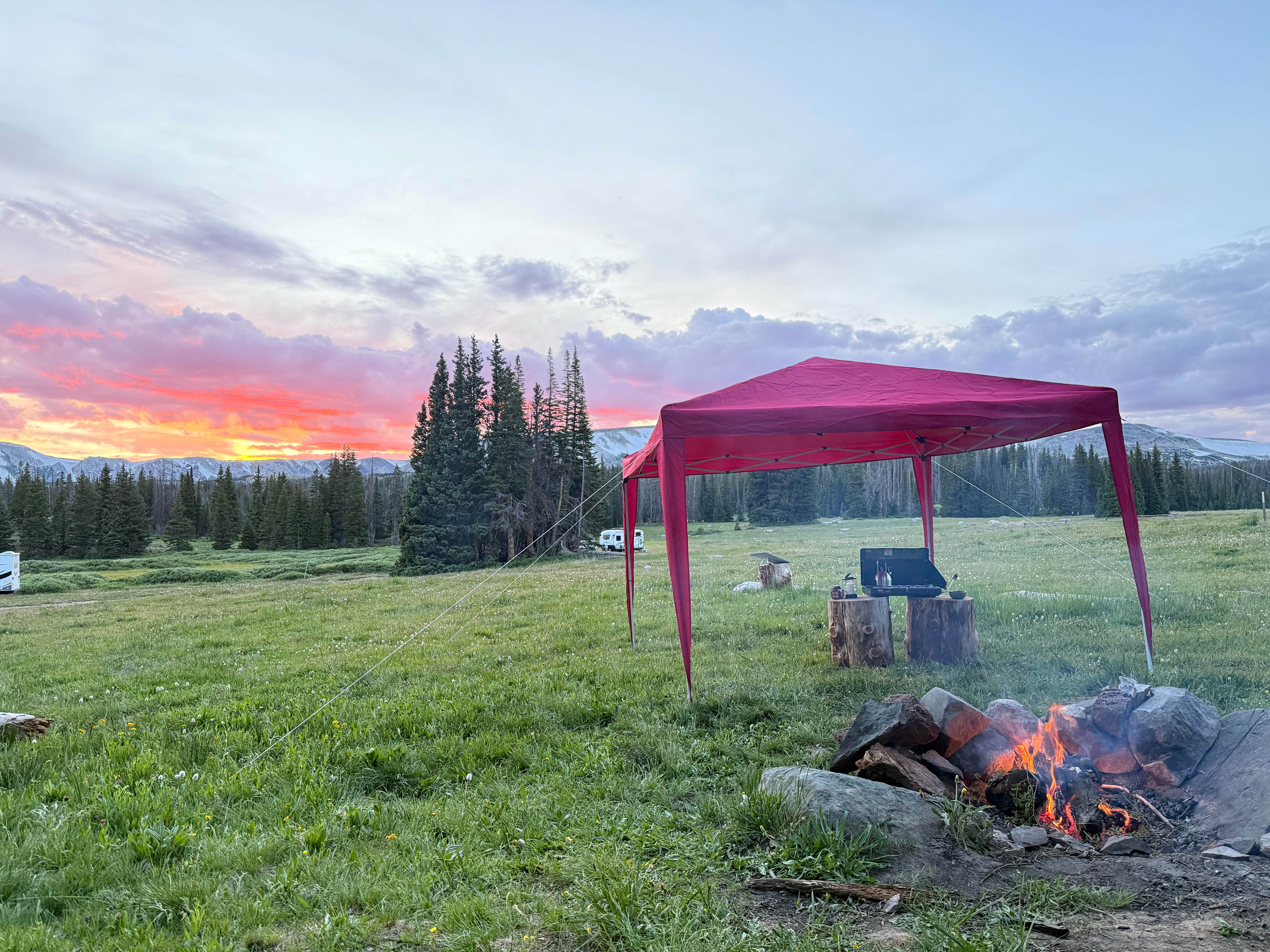 Camper submitted image from Forest Road 318 - 1