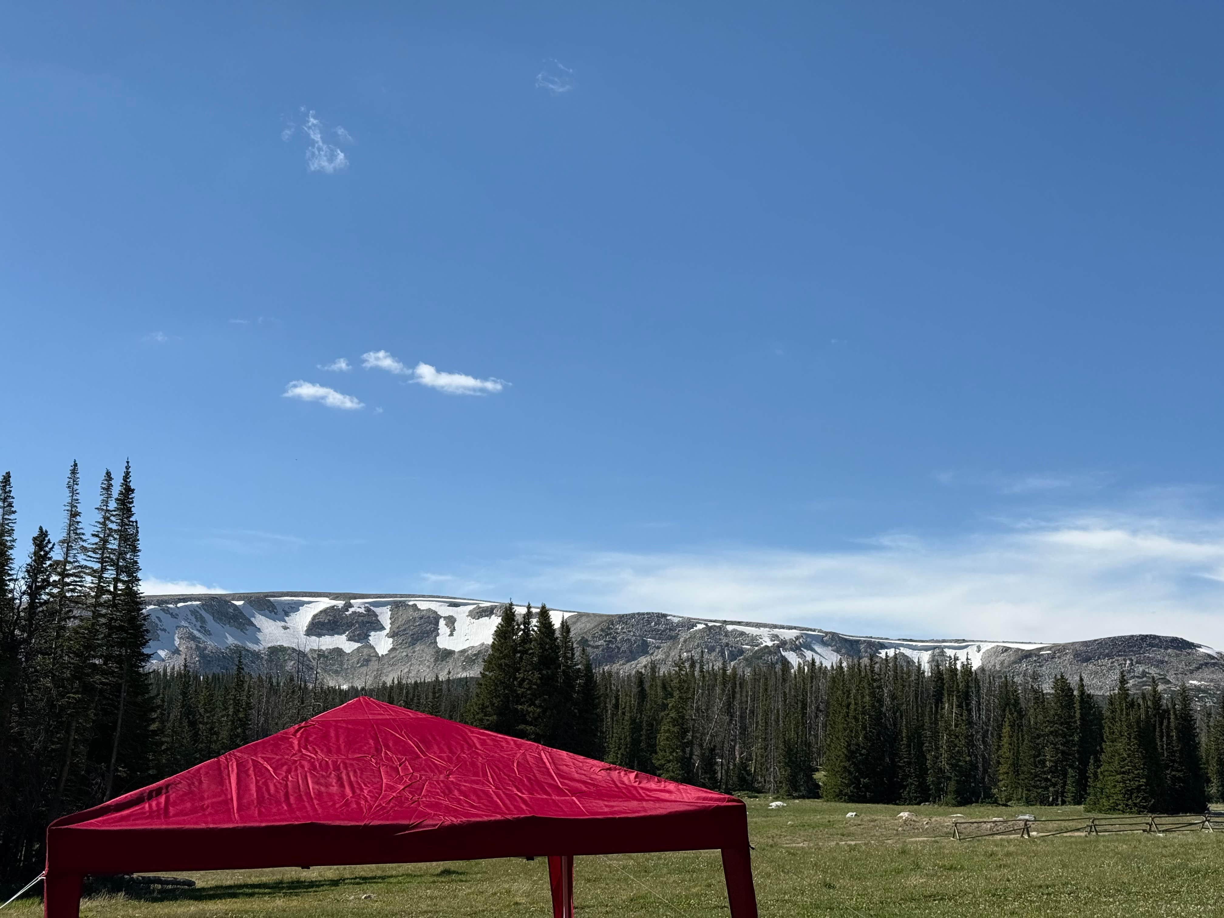 Ayla G.'s photo of a dispersed camping area at Forest Road 318 near Elk Mountain, WY