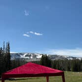 Review photo of Forest Road 318 by Ayla G., July 14, 2025