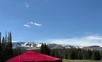 Ayla G.'s photo of a dispersed camping area at Forest Road 318 near Rock River, WY