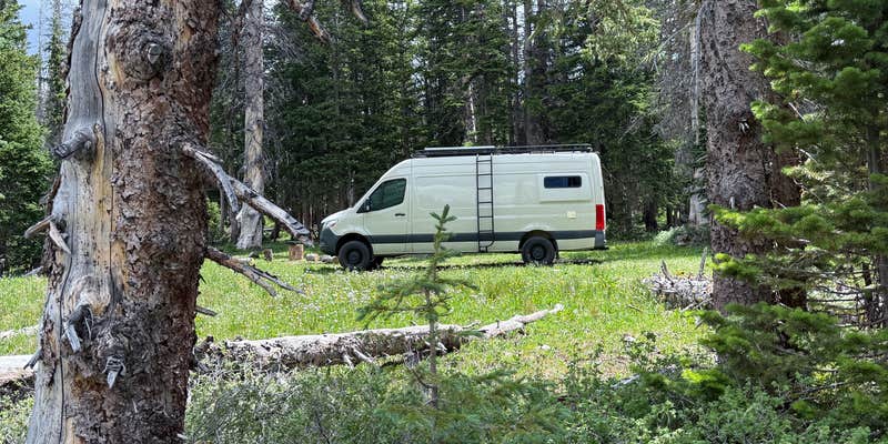 Camper submitted image from Forest Road 318