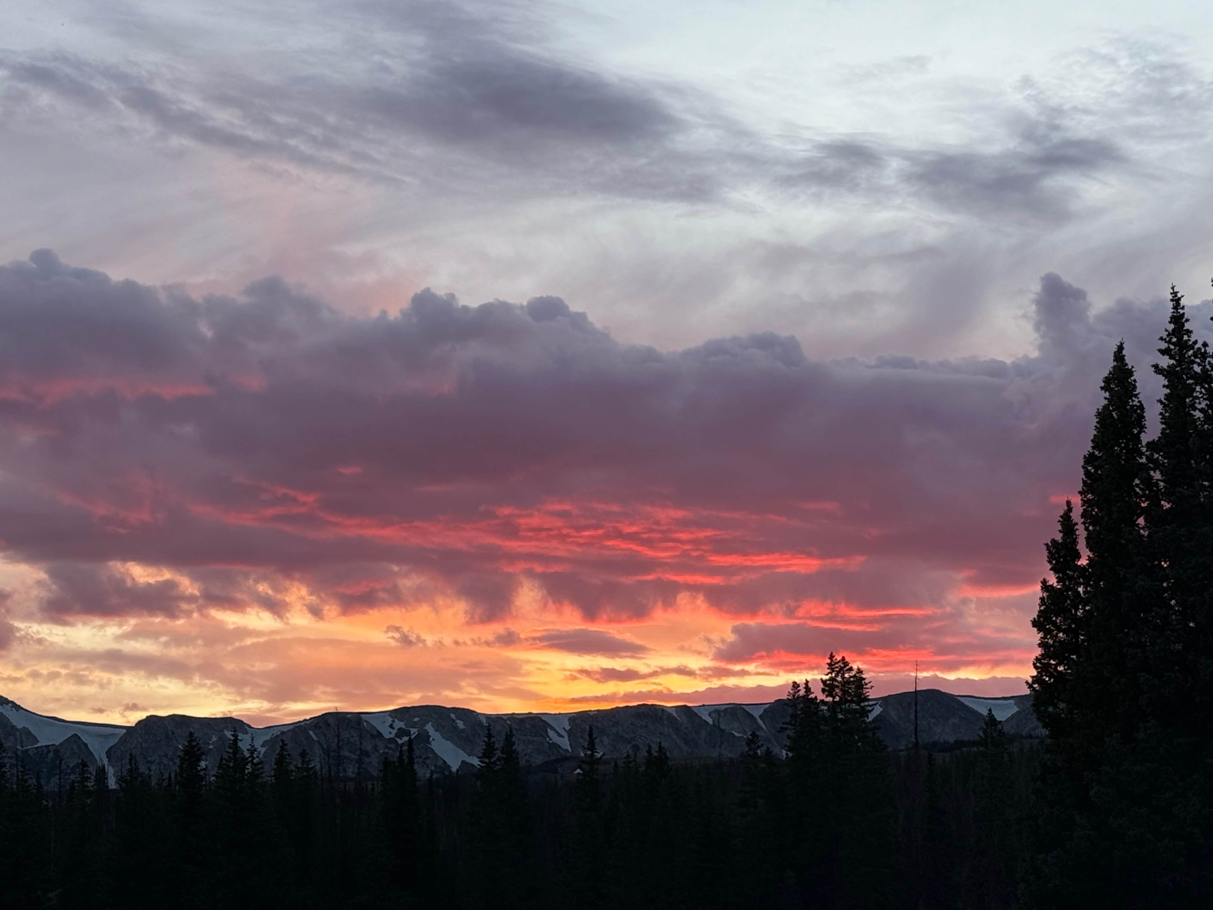 Camper-submitted photo at Forest Road 318 near Elk Mountain, WY