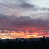 Review photo of Forest Road 318 by Ayla G., July 14, 2025