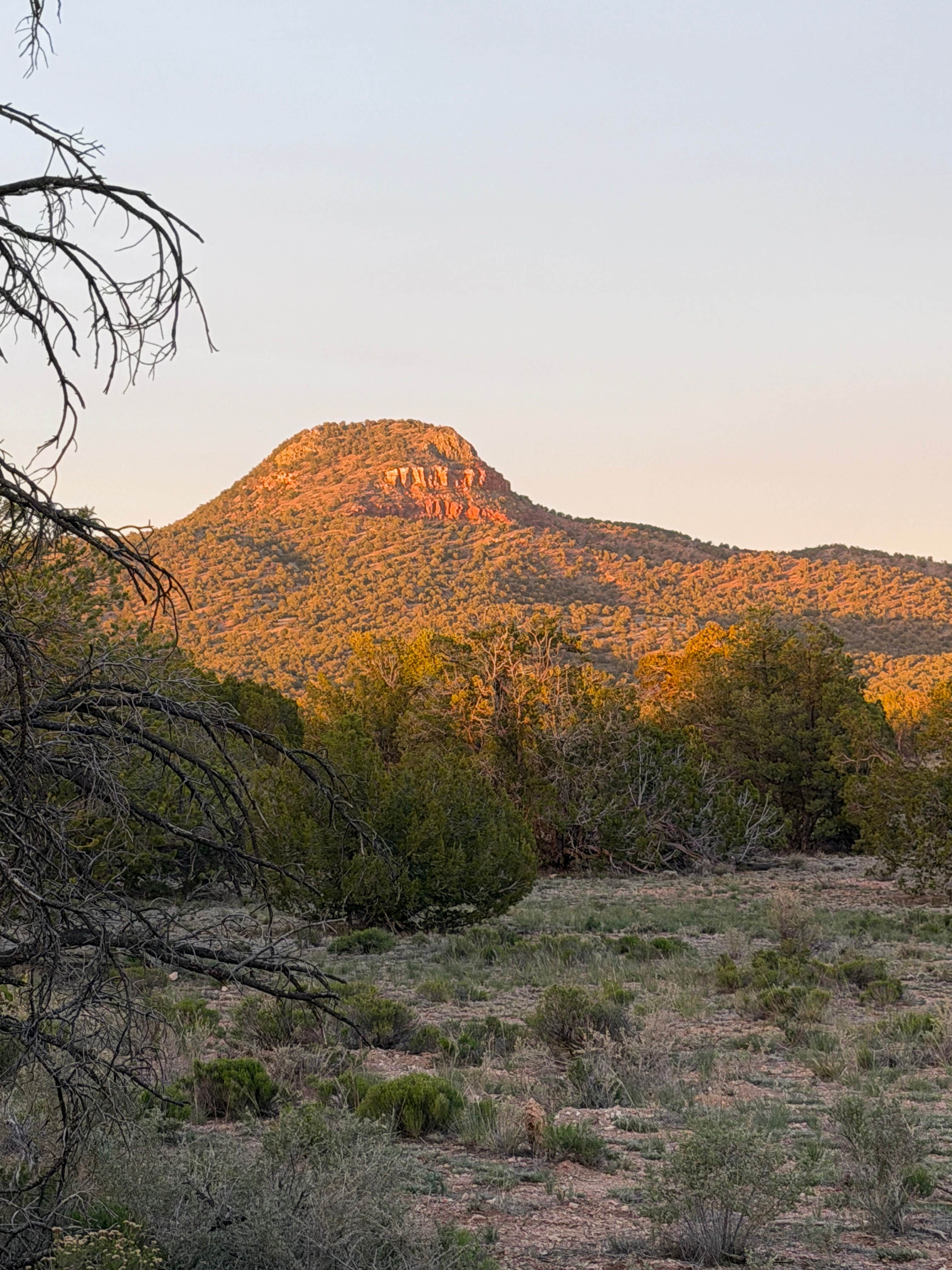 Camping near Old Grand Canyon Airport Forest Road - Dispersed Camping: Forest Road 320 Dispersed, Grand Canyon, Arizona