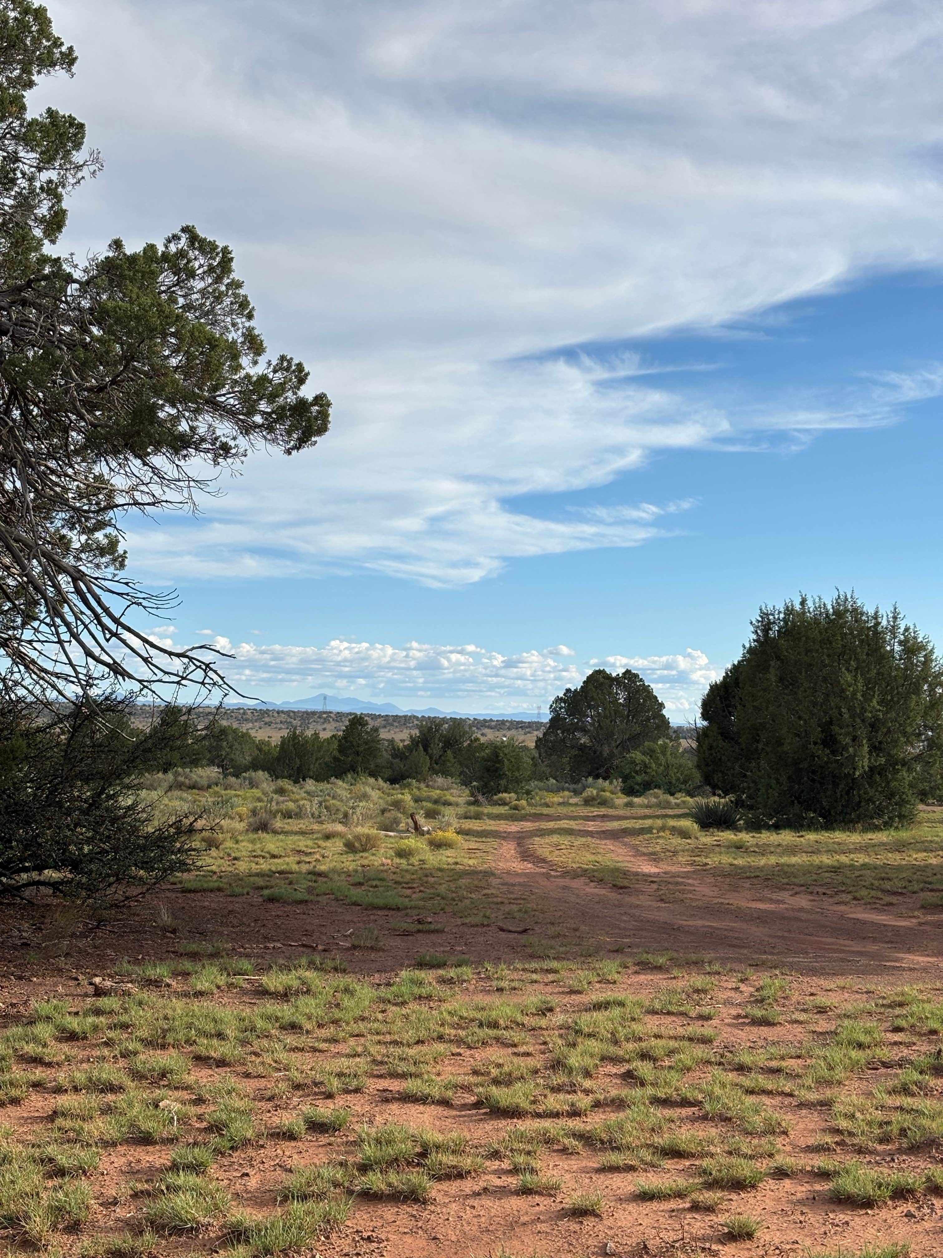 Camping near Sunny Lake Ranchos: Forest Road 320 Dispersed, Grand Canyon, Arizona