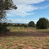 Review photo of Forest Road 320 Dispersed by Liedewei V., September 6, 2025