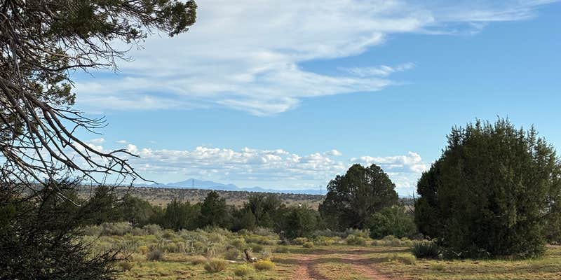 Camper submitted image from Forest Road 320 Dispersed