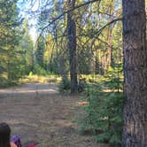 Review photo of Forest Road 3237 by jackosc2 , July 14, 2026