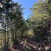 Review photo of Forest Road 332 Dispersed by Jocelynn C., June 16, 2026