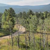 Review photo of Forest Road 332 Dispersed by Lynn , August 6, 2026
