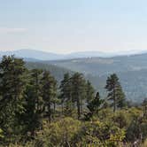 Review photo of Forest Road 332 Dispersed by Lynn , August 6, 2026