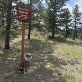 Review photo of Forest Road 332 Dispersed by Jocelynn C., June 16, 2026
