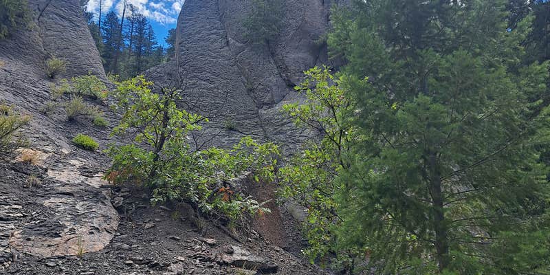 Camper submitted image from Forest Road 376 Cross