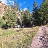 Review photo of Forest Road 376 Cross by amber H., February 15, 2026