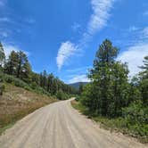 Review photo of Forest Road 37 by Steve M., July 4, 2026