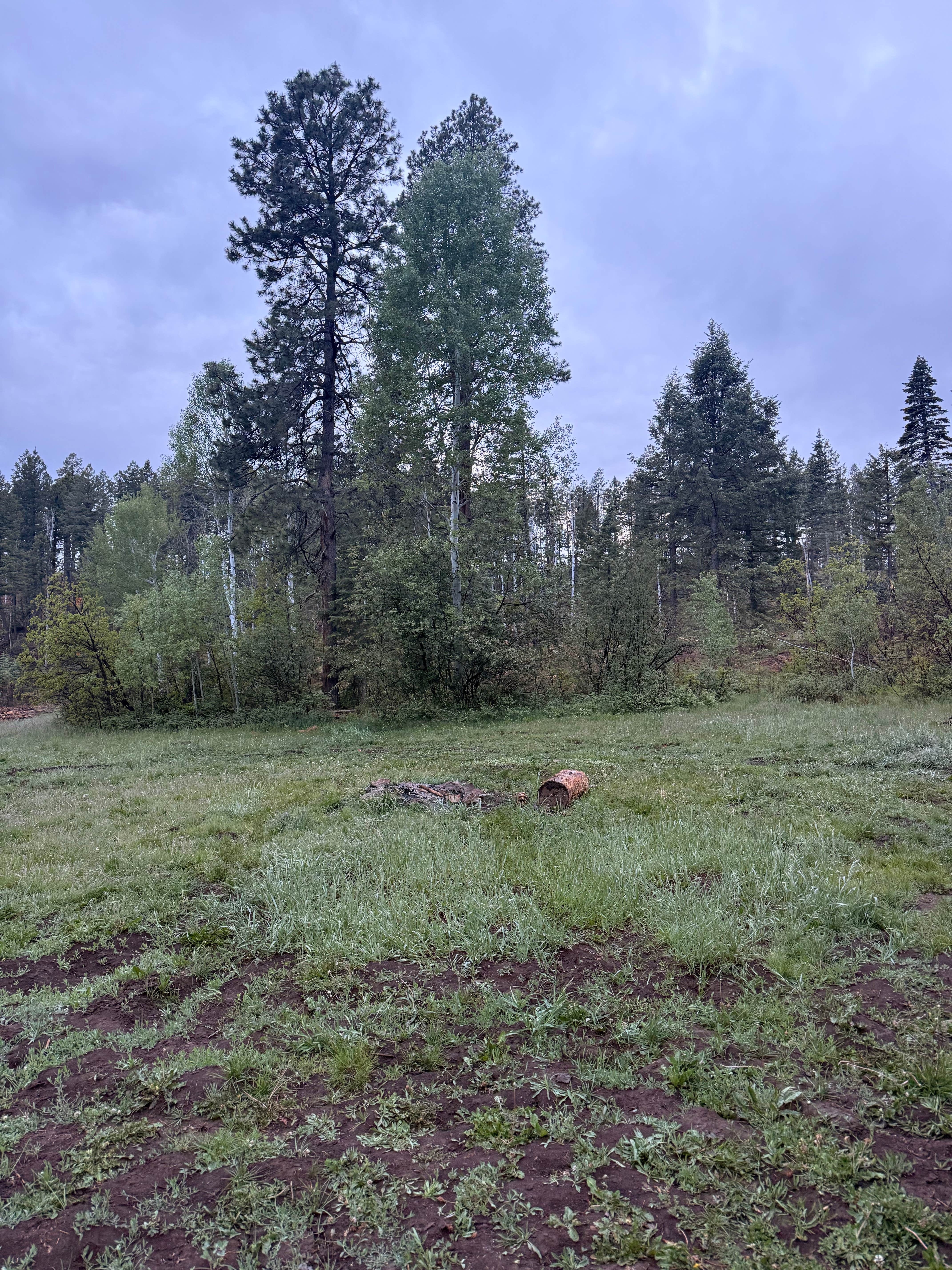 Camping near West Fork Dispersed: Forest Road 37, Pagosa Springs, Colorado