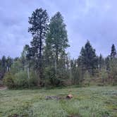 Review photo of Forest Road 37 by Jamie W., May 27, 2026