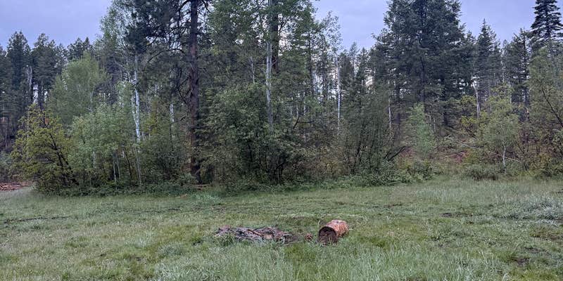 Camper submitted image from Forest Road 37