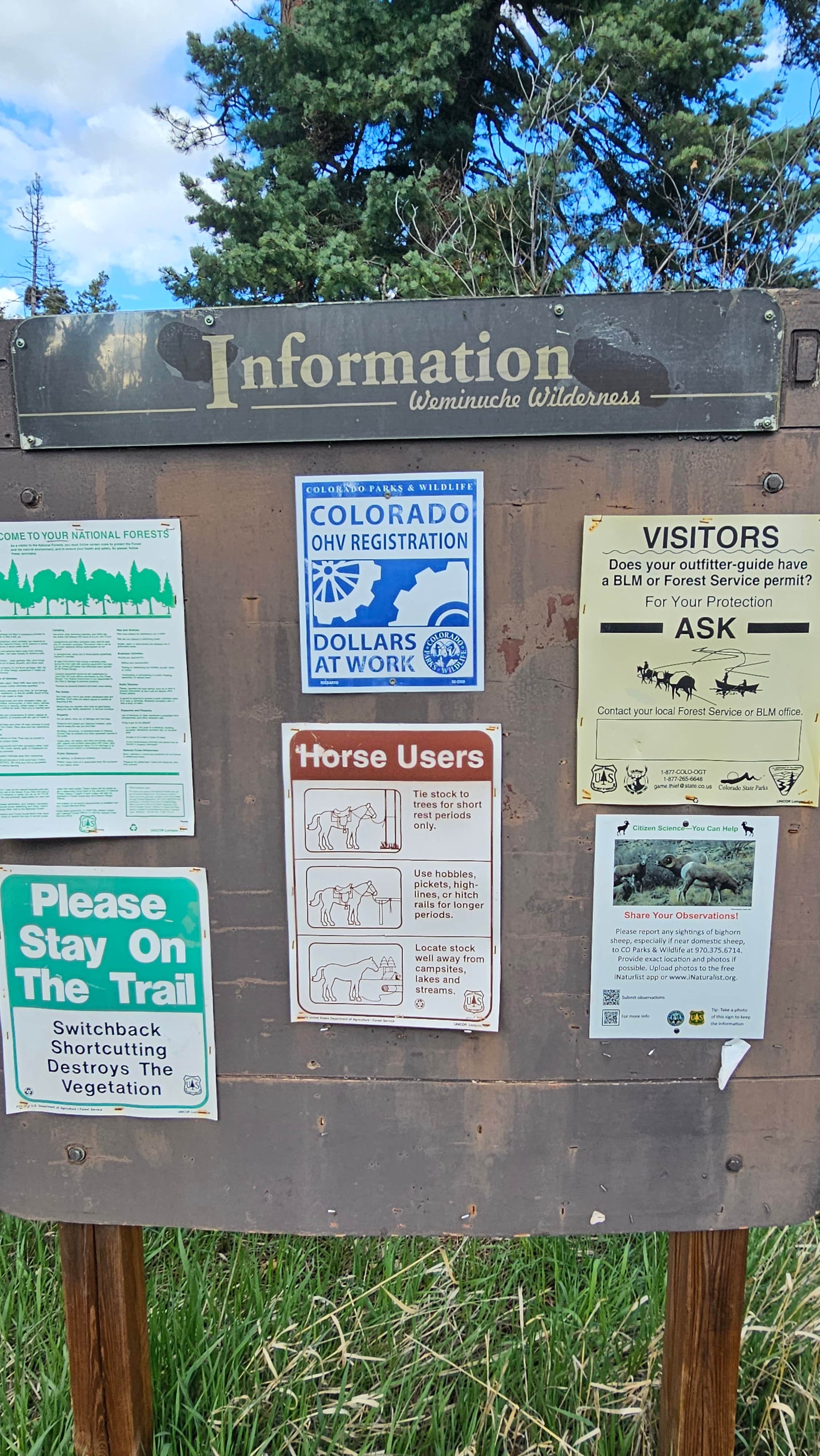 Camper-submitted photo at Forest Road 37 near Chimney Rock, CO