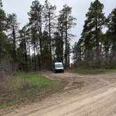 Review photo of Forest Road 37 by John P., April 23, 2026