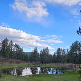 Review photo of Forest Road 37 by johny R., April 16, 2026