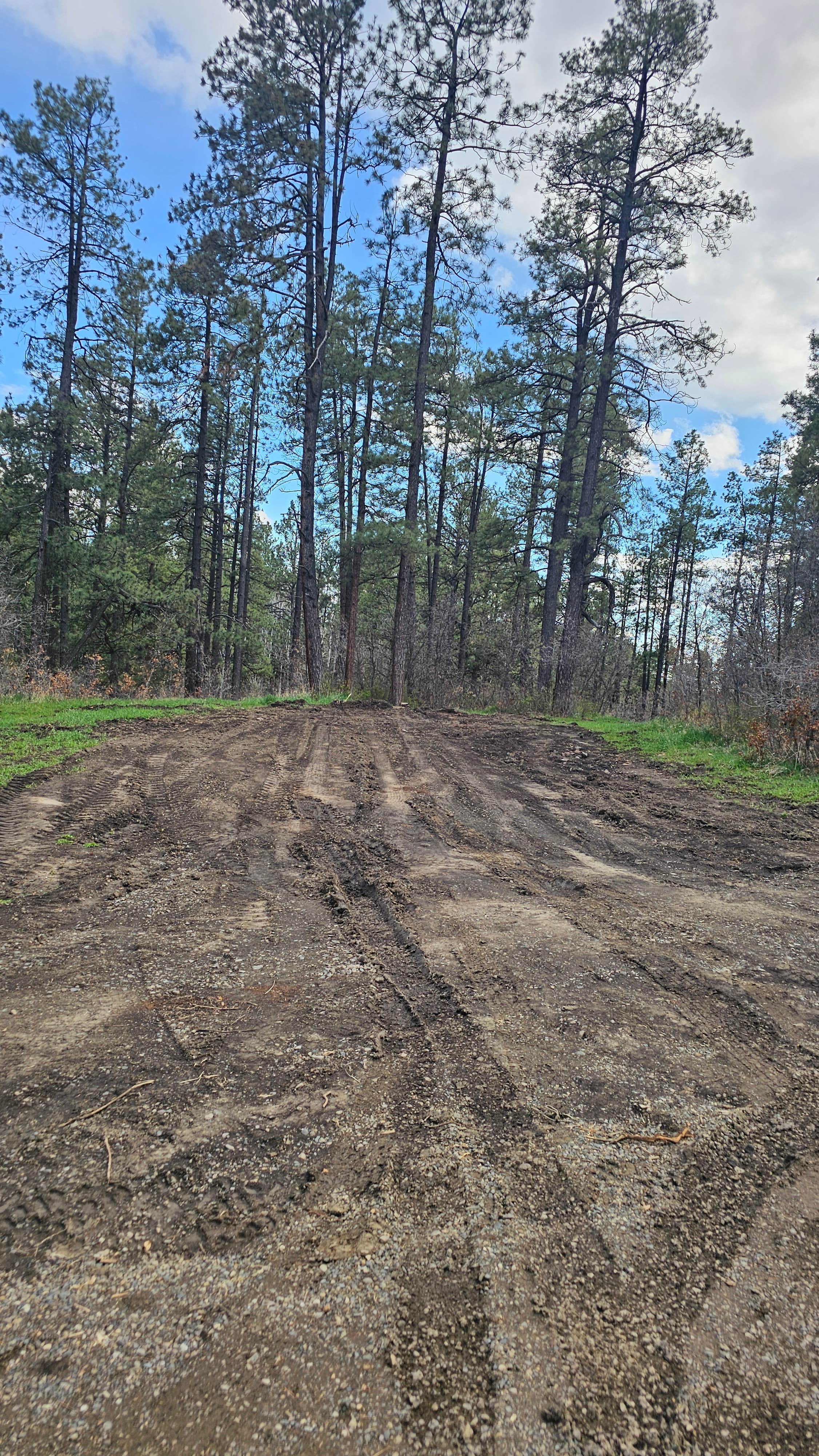 Camper-submitted photo at Forest Road 37 near Chimney Rock, CO