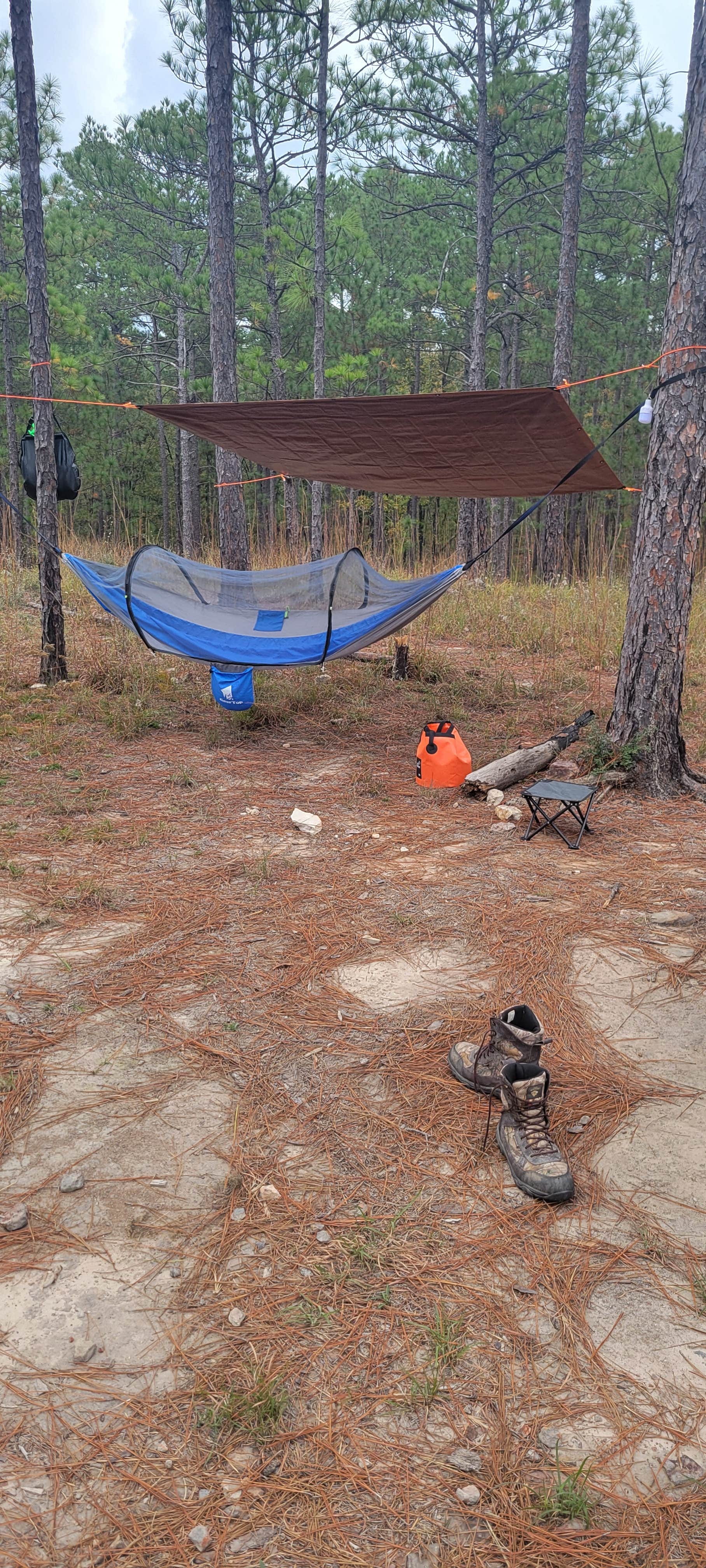 Camper-submitted photo at Forest Road 380 Kisatchi National Forest near Fort Polk, LA