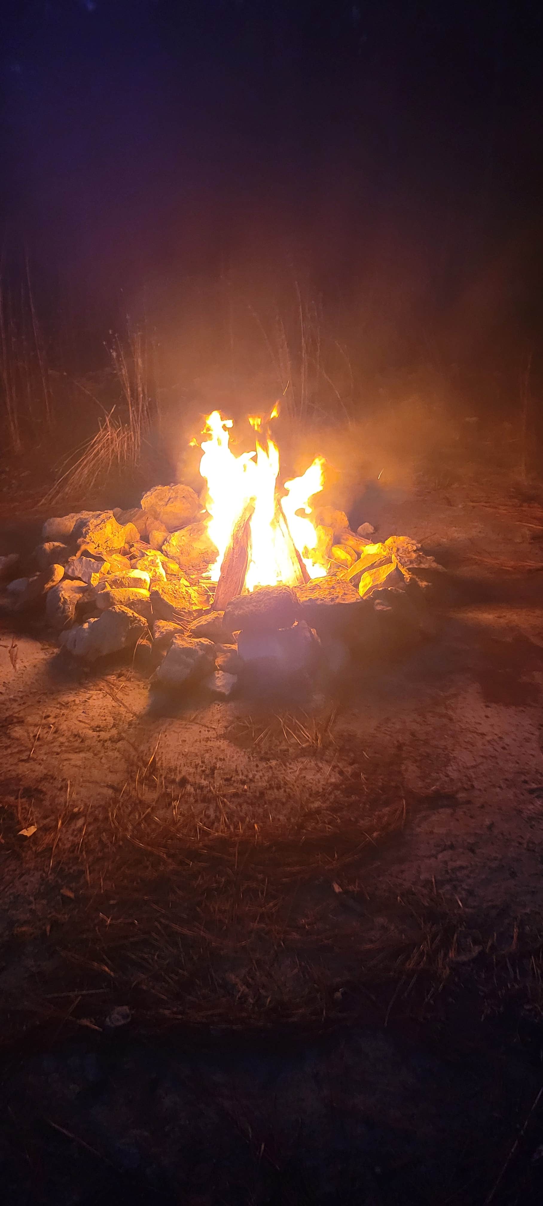 Camper-submitted photo at Forest Road 380 Kisatchi National Forest near Fort Polk, LA