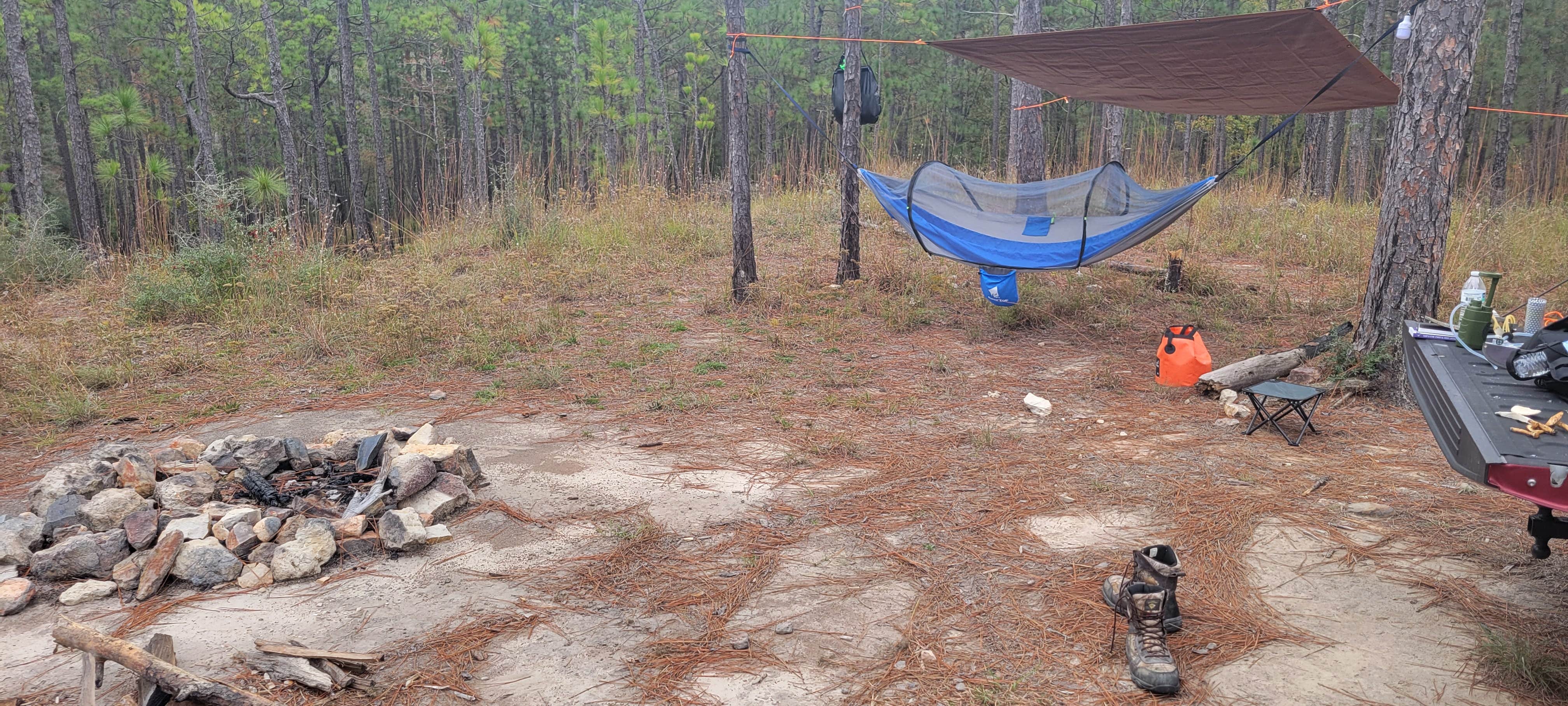 Potsie D.'s photo at Forest Road 380 Kisatchi National Forest near Natchitoches, LA